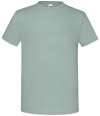 SS621/61430/SS144 Iconic 150 T-Shirt Sage colour image